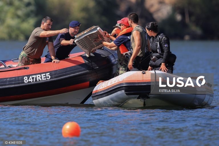 Trabalhos para remover parte do helicóptero que caiu na sexta-feira, no rio Douro, próximo da localidade de Samodães, em Lamego e que transportava seis passageiros, nomeadamente um piloto e uma equipa de cinco militares da Unidade de Emergência Proteção e Socorro (UEPS) que regressava do combate a um incêndio no concelho de Baião, Lamego, 31 de agosto de 2024. ESTELA SILVA/LUSA