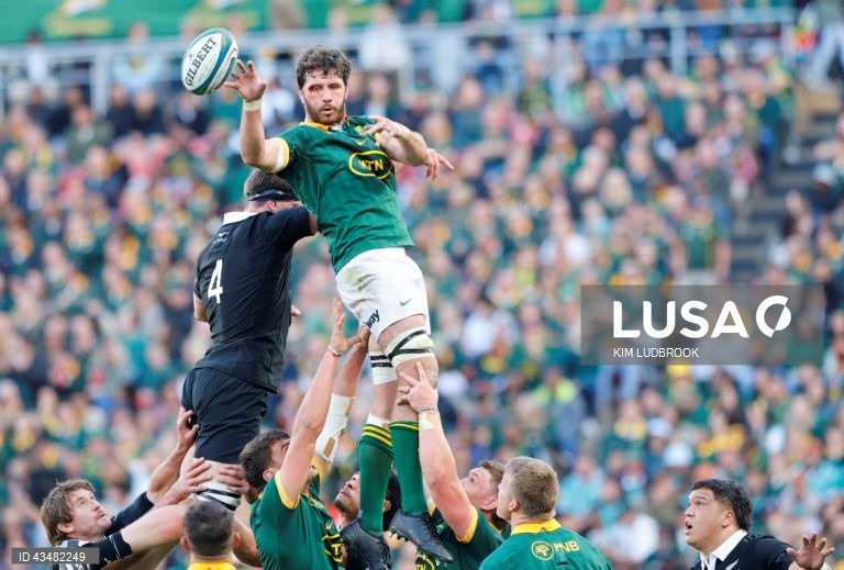 África do Sul: África do Sul vs Nova Zelândia