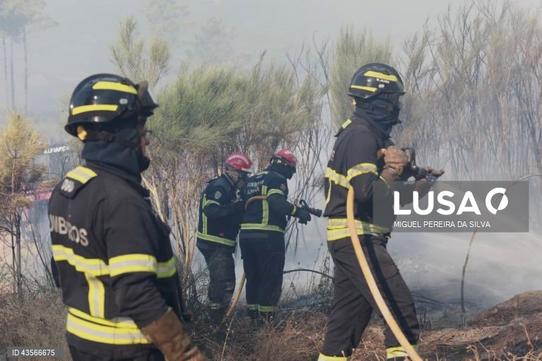 Durante o dia de hoje, a Autoridade Nacional de Emergência e Proteção Civil (ANEPC) registou mais de 120 fogos, que chegaram a ser combatidos por mais de 5.000 operacionais, apoiados por 1.500 viaturas e 39 meios aéreos, dois deles vindos de Espanha. 