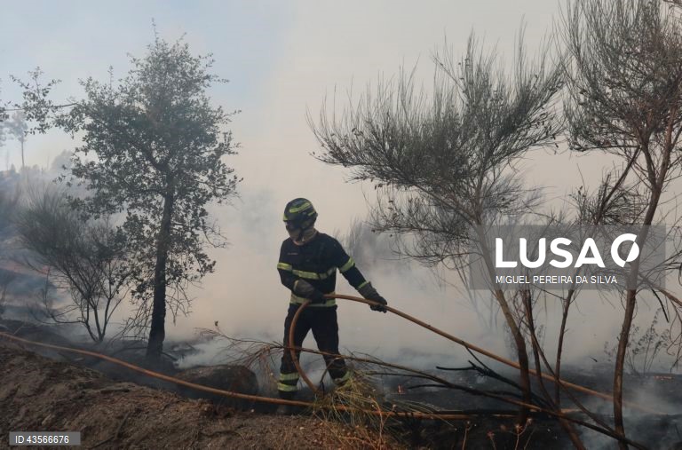 Durante o dia de hoje, a Autoridade Nacional de Emergência e Proteção Civil (ANEPC) registou mais de 120 fogos, que chegaram a ser combatidos por mais de 5.000 operacionais, apoiados por 1.500 viaturas e 39 meios aéreos, dois deles vindos de Espanha. 