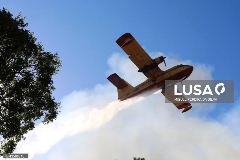 Durante o dia de hoje, a Autoridade Nacional de Emergência e Proteção Civil (ANEPC) registou mais de 120 fogos, que chegaram a ser combatidos por mais de 5.000 operacionais, apoiados por 1.500 viaturas e 39 meios aéreos, dois deles vindos de Espanha. 