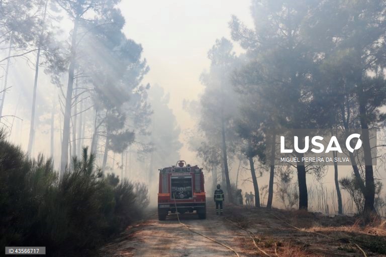 Durante o dia de hoje, a Autoridade Nacional de Emergência e Proteção Civil (ANEPC) registou mais de 120 fogos, que chegaram a ser combatidos por mais de 5.000 operacionais, apoiados por 1.500 viaturas e 39 meios aéreos, dois deles vindos de Espanha. 