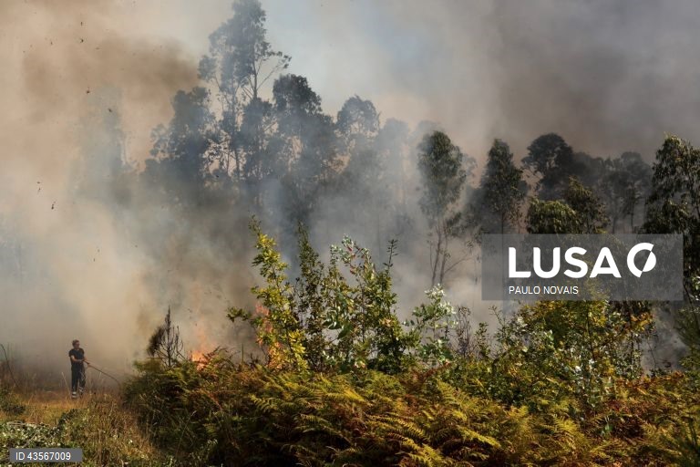 Durante o dia de hoje, a Autoridade Nacional de Emergência e Proteção Civil (ANEPC) registou mais de 120 fogos, que chegaram a ser combatidos por mais de 5.000 operacionais, apoiados por 1.500 viaturas e 39 meios aéreos, dois deles vindos de Espanha. 