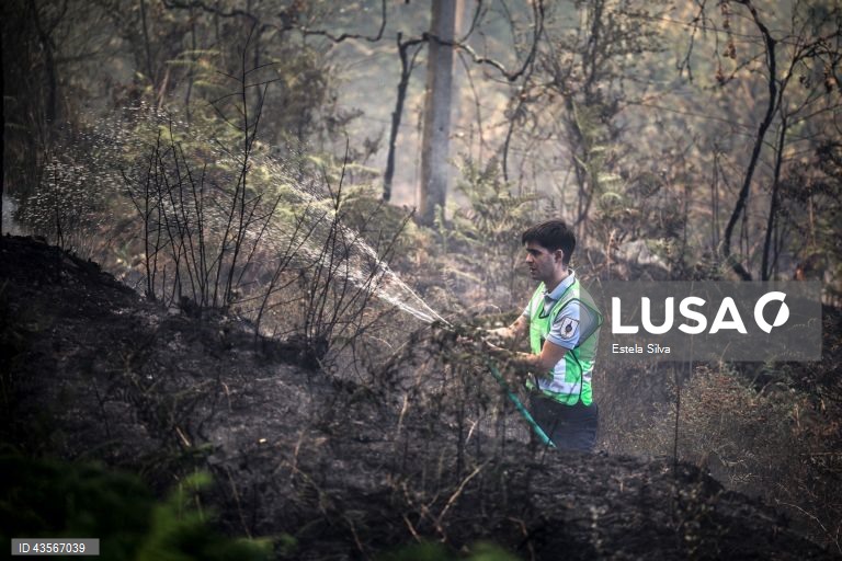 Durante o dia de hoje, a Autoridade Nacional de Emergência e Proteção Civil (ANEPC) registou mais de 120 fogos, que chegaram a ser combatidos por mais de 5.000 operacionais, apoiados por 1.500 viaturas e 39 meios aéreos, dois deles vindos de Espanha. 