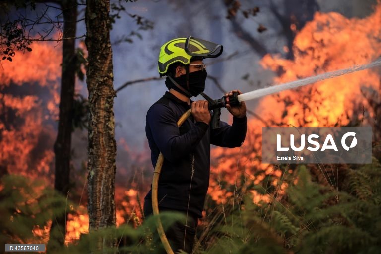 Durante o dia de hoje, a Autoridade Nacional de Emergência e Proteção Civil (ANEPC) registou mais de 120 fogos, que chegaram a ser combatidos por mais de 5.000 operacionais, apoiados por 1.500 viaturas e 39 meios aéreos, dois deles vindos de Espanha. 
