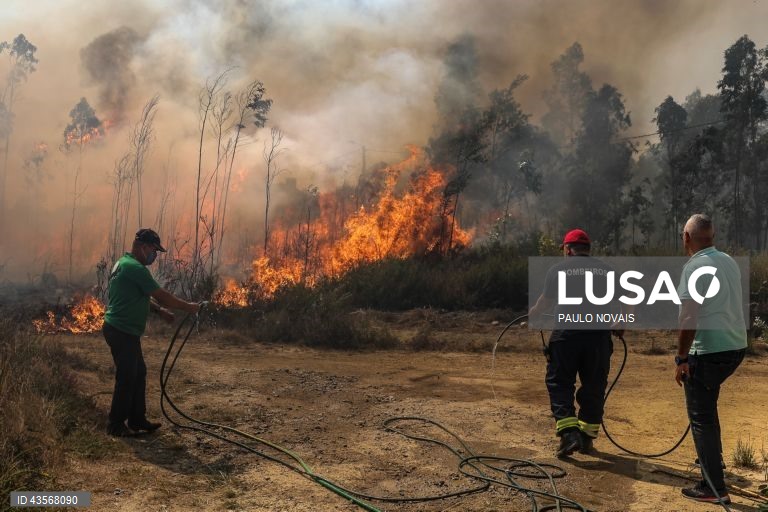 Durante o dia de hoje, a Autoridade Nacional de Emergência e Proteção Civil (ANEPC) registou mais de 120 fogos, que chegaram a ser combatidos por mais de 5.000 operacionais, apoiados por 1.500 viaturas e 39 meios aéreos, dois deles vindos de Espanha. 