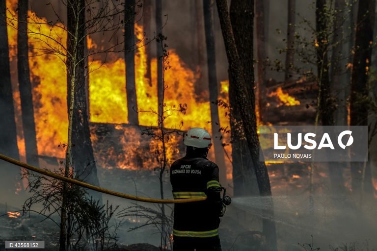 Durante o dia de hoje, a Autoridade Nacional de Emergência e Proteção Civil (ANEPC) registou mais de 120 fogos, que chegaram a ser combatidos por mais de 5.000 operacionais, apoiados por 1.500 viaturas e 39 meios aéreos, dois deles vindos de Espanha. 