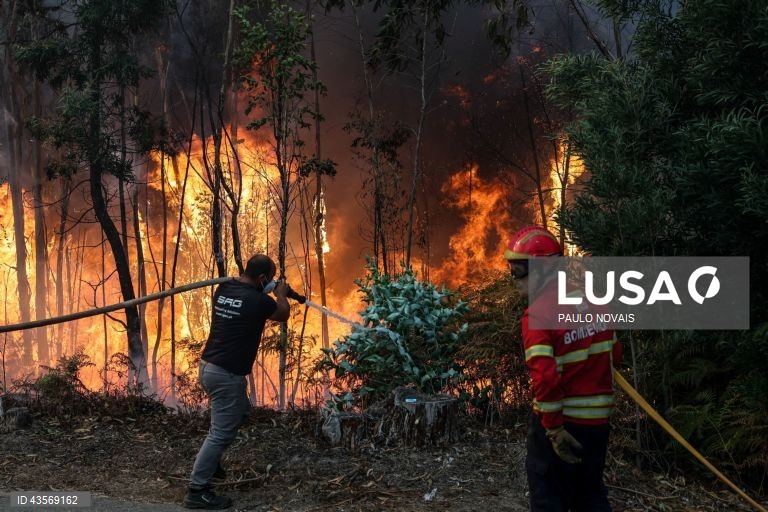 Durante o dia de hoje, a Autoridade Nacional de Emergência e Proteção Civil (ANEPC) registou mais de 120 fogos, que chegaram a ser combatidos por mais de 5.000 operacionais, apoiados por 1.500 viaturas e 39 meios aéreos, dois deles vindos de Espanha. 