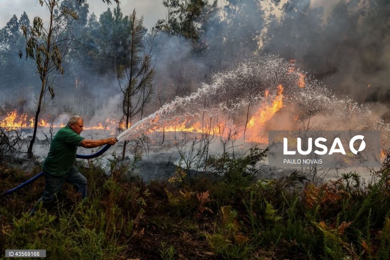 Durante o dia de hoje, a Autoridade Nacional de Emergência e Proteção Civil (ANEPC) registou mais de 120 fogos, que chegaram a ser combatidos por mais de 5.000 operacionais, apoiados por 1.500 viaturas e 39 meios aéreos, dois deles vindos de Espanha. 