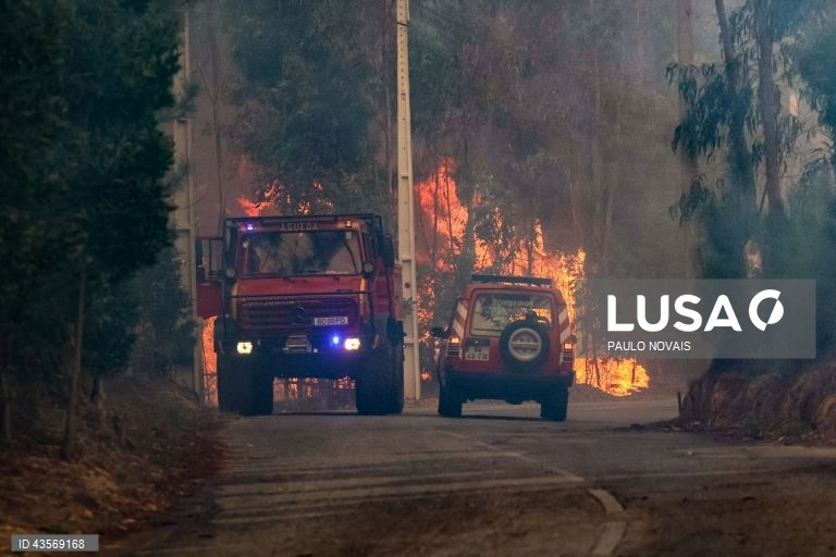 Durante o dia de hoje, a Autoridade Nacional de Emergência e Proteção Civil (ANEPC) registou mais de 120 fogos, que chegaram a ser combatidos por mais de 5.000 operacionais, apoiados por 1.500 viaturas e 39 meios aéreos, dois deles vindos de Espanha. 