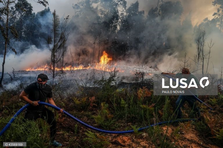 Durante o dia de hoje, a Autoridade Nacional de Emergência e Proteção Civil (ANEPC) registou mais de 120 fogos, que chegaram a ser combatidos por mais de 5.000 operacionais, apoiados por 1.500 viaturas e 39 meios aéreos, dois deles vindos de Espanha. 