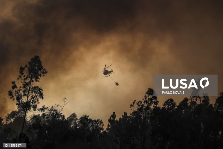 Durante o dia de hoje, a Autoridade Nacional de Emergência e Proteção Civil (ANEPC) registou mais de 120 fogos, que chegaram a ser combatidos por mais de 5.000 operacionais, apoiados por 1.500 viaturas e 39 meios aéreos, dois deles vindos de Espanha. 