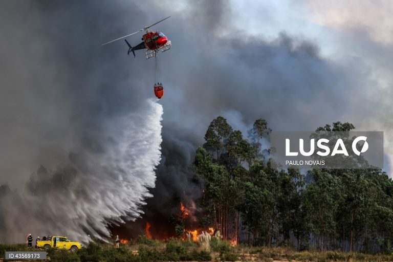 Durante o dia de hoje, a Autoridade Nacional de Emergência e Proteção Civil (ANEPC) registou mais de 120 fogos, que chegaram a ser combatidos por mais de 5.000 operacionais, apoiados por 1.500 viaturas e 39 meios aéreos, dois deles vindos de Espanha. 