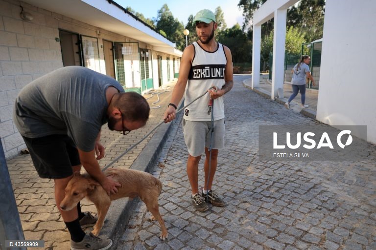 Durante o dia de hoje, a Autoridade Nacional de Emergência e Proteção Civil (ANEPC) registou mais de 120 fogos, que chegaram a ser combatidos por mais de 5.000 operacionais, apoiados por 1.500 viaturas e 39 meios aéreos, dois deles vindos de Espanha. 