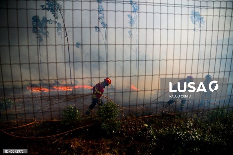 Incêndios em Portugal