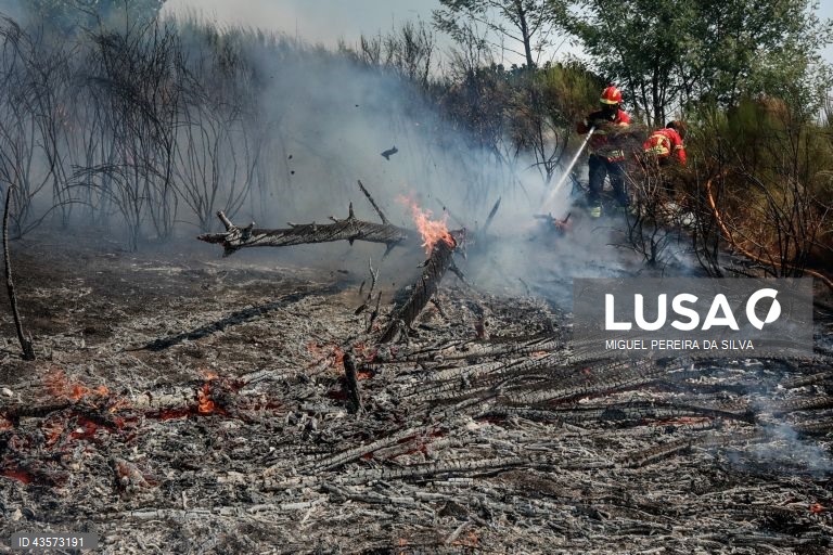 Incêndios em Portugal