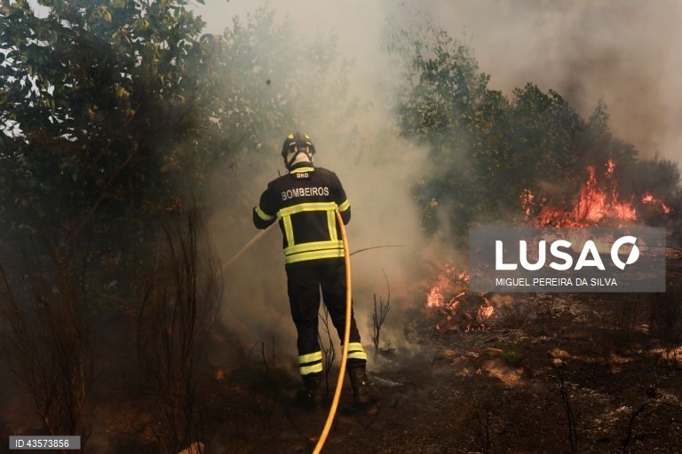Incêndios em Portugal