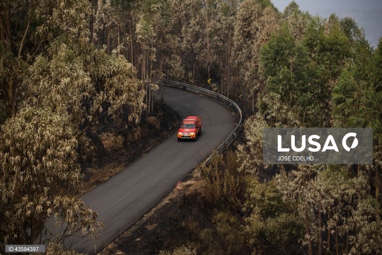 Área ardida na zona de Castro Daire, Viseu, 20 de setembro de 2024. Sete pessoas morreram e 177 ficaram feridas devido aos incêndios que atingiram desde domingo sobretudo as regiões Norte e Centro do país e destruíram dezenas de casas. A área ardida em Portugal continental desde domingo ultrapassa os 124 mil hectares, segundo o sistema europeu Copernicus, que mostra que nas regiões Norte e Centro já arderam mais de 116 mil hectares, 93% da área ardida em todo o território nacional. JOSÉ...