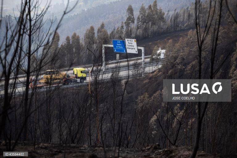 Área ardida na zona de Albergaria, Aveiro, 20 de setembro de 2024. Sete pessoas morreram e 177 ficaram feridas devido aos incêndios que atingiram desde domingo sobretudo as regiões Norte e Centro do país e destruíram dezenas de casas. A área ardida em Portugal continental desde domingo ultrapassa os 124 mil hectares, segundo o sistema europeu Copernicus, que mostra que nas regiões Norte e Centro já arderam mais de 116 mil hectares, 93% da área ardida em todo o território nacional. JOSÉ...