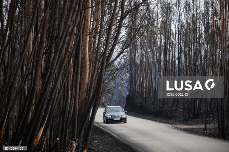 Área ardida na zona de Albergaria, Aveiro, 20 de setembro de 2024. Sete pessoas morreram e 177 ficaram feridas devido aos incêndios que atingiram desde domingo sobretudo as regiões Norte e Centro do país e destruíram dezenas de casas. A área ardida em Portugal continental desde domingo ultrapassa os 124 mil hectares, segundo o sistema europeu Copernicus, que mostra que nas regiões Norte e Centro já arderam mais de 116 mil hectares, 93% da área ardida em todo o território nacional. JOSÉ...