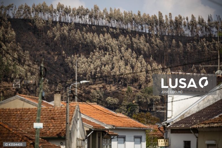 Área ardida na zona de Albergaria, Aveiro, 20 de setembro de 2024. Sete pessoas morreram e 177 ficaram feridas devido aos incêndios que atingiram desde domingo sobretudo as regiões Norte e Centro do país e destruíram dezenas de casas. A área ardida em Portugal continental desde domingo ultrapassa os 124 mil hectares, segundo o sistema europeu Copernicus, que mostra que nas regiões Norte e Centro já arderam mais de 116 mil hectares, 93% da área ardida em todo o território nacional. JOSÉ...