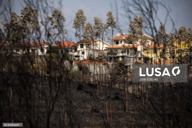 Área ardida na zona de Albergaria, Aveiro, 20 de setembro de 2024. Sete pessoas morreram e 177 ficaram feridas devido aos incêndios que atingiram desde domingo sobretudo as regiões Norte e Centro do país e destruíram dezenas de casas. A área ardida em Portugal continental desde domingo ultrapassa os 124 mil hectares, segundo o sistema europeu Copernicus, que mostra que nas regiões Norte e Centro já arderam mais de 116 mil hectares, 93% da área ardida em todo o território nacional. JOSÉ...