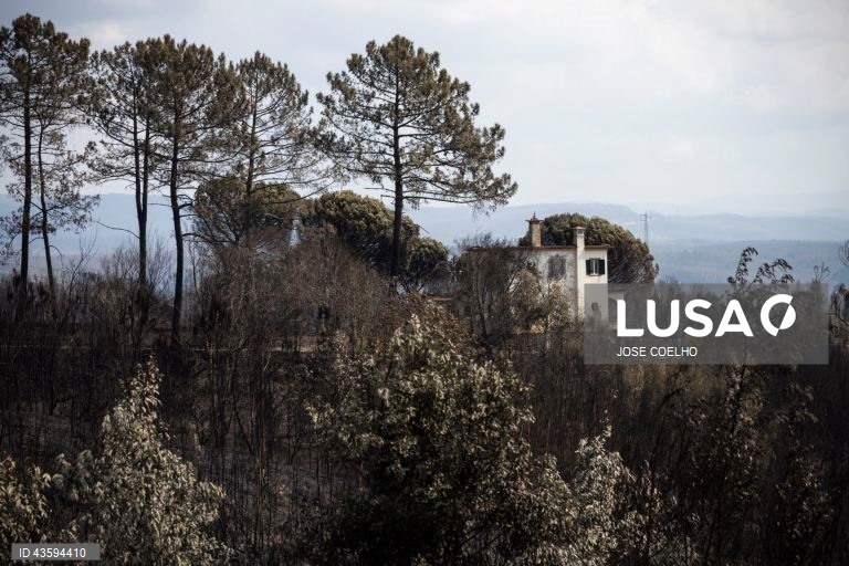 Área ardida na zona de Albergaria, Aveiro, 20 de setembro de 2024. Sete pessoas morreram e 177 ficaram feridas devido aos incêndios que atingiram desde domingo sobretudo as regiões Norte e Centro do país e destruíram dezenas de casas. A área ardida em Portugal continental desde domingo ultrapassa os 124 mil hectares, segundo o sistema europeu Copernicus, que mostra que nas regiões Norte e Centro já arderam mais de 116 mil hectares, 93% da área ardida em todo o território nacional. JOSÉ...