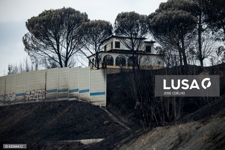 Área ardida na zona de Albergaria, Aveiro, 20 de setembro de 2024. Sete pessoas morreram e 177 ficaram feridas devido aos incêndios que atingiram desde domingo sobretudo as regiões Norte e Centro do país e destruíram dezenas de casas. A área ardida em Portugal continental desde domingo ultrapassa os 124 mil hectares, segundo o sistema europeu Copernicus, que mostra que nas regiões Norte e Centro já arderam mais de 116 mil hectares, 93% da área ardida em todo o território nacional. JOSÉ...