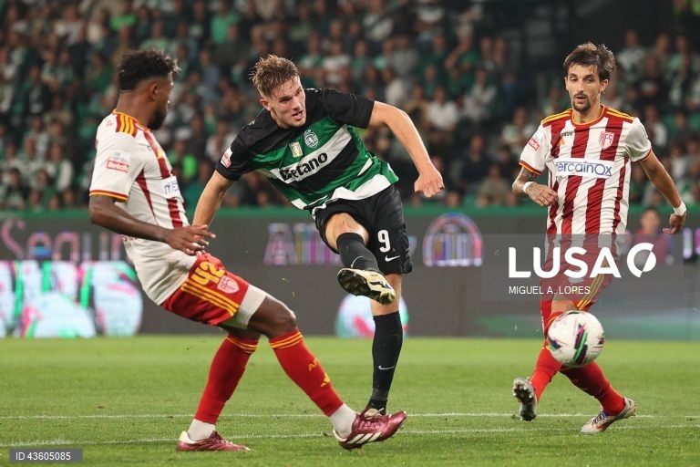O Sporting manteve hoje três pontos de vantagem sobre o FC Porto, ao vencer em casa ao AVS, por 3-0, em jogo da sexta jornada da I Liga portuguesa de futebol.