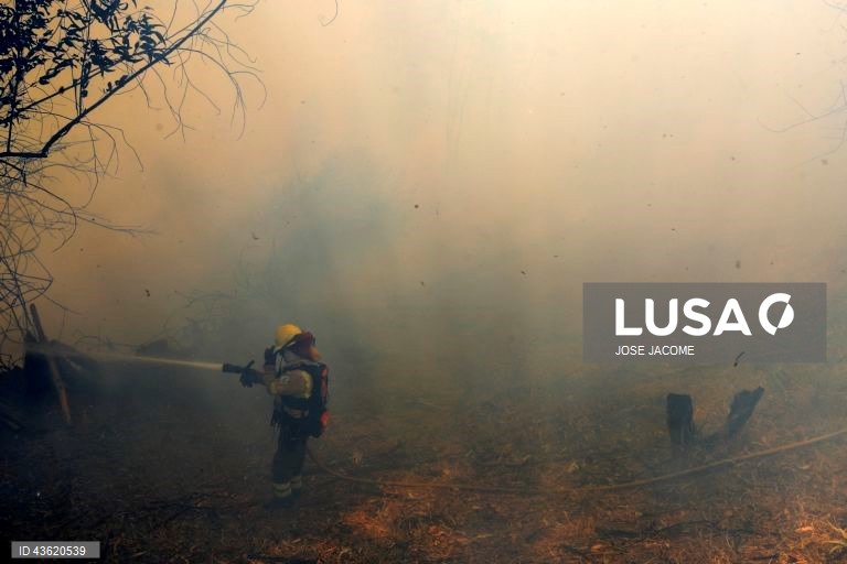 Equador: Vários incêndios florestais nas zonas circundantes de Quito