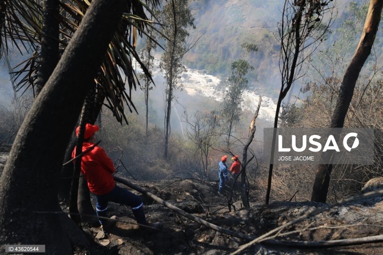 Equador: Vários incêndios florestais nas zonas circundantes de Quito