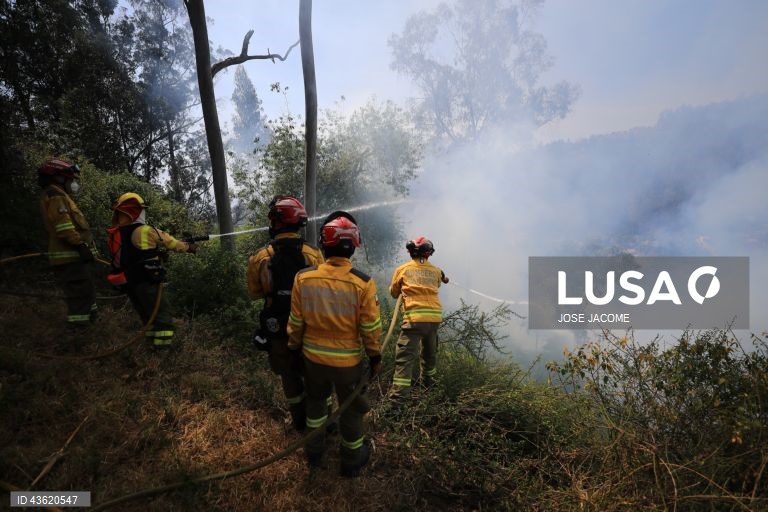 Equador: Vários incêndios florestais nas zonas circundantes de Quito