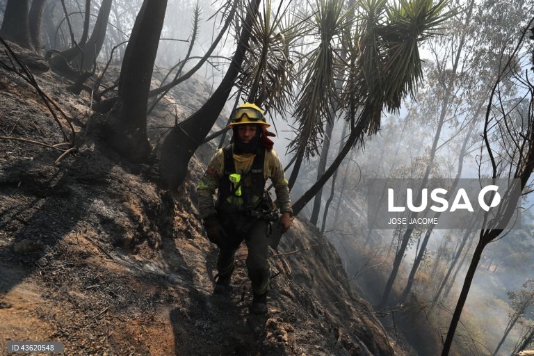 Equador: Vários incêndios florestais nas zonas circundantes de Quito