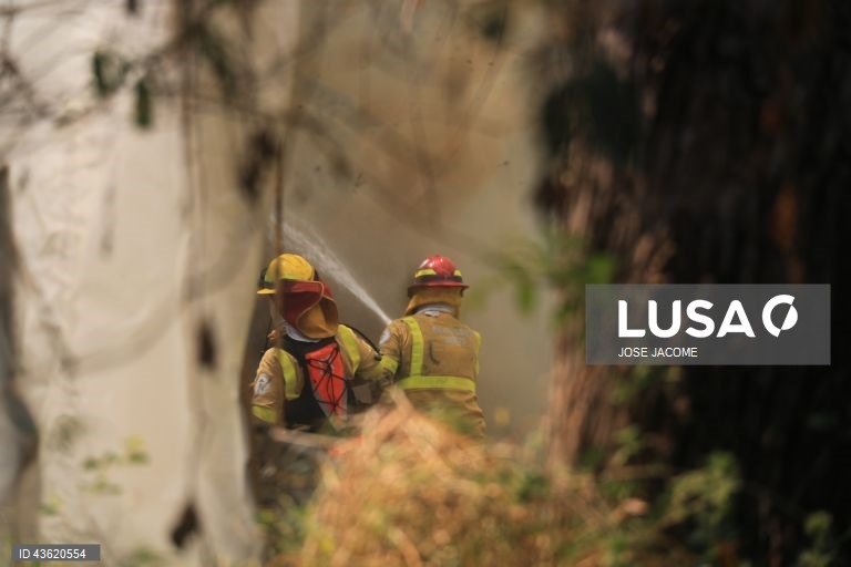 Equador: Vários incêndios florestais nas zonas circundantes de Quito