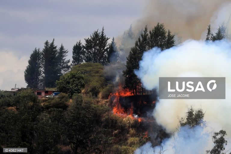 Equador: Vários incêndios florestais nas zonas circundantes de Quito