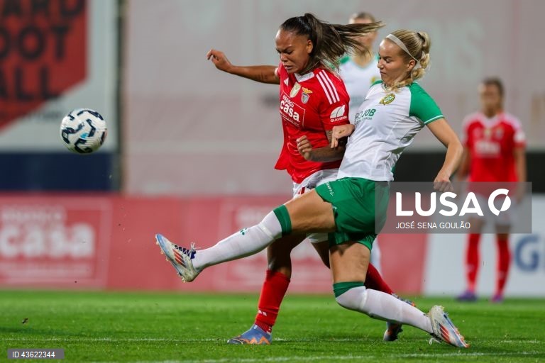 Futebol feminino: Benfica vs Hammarby