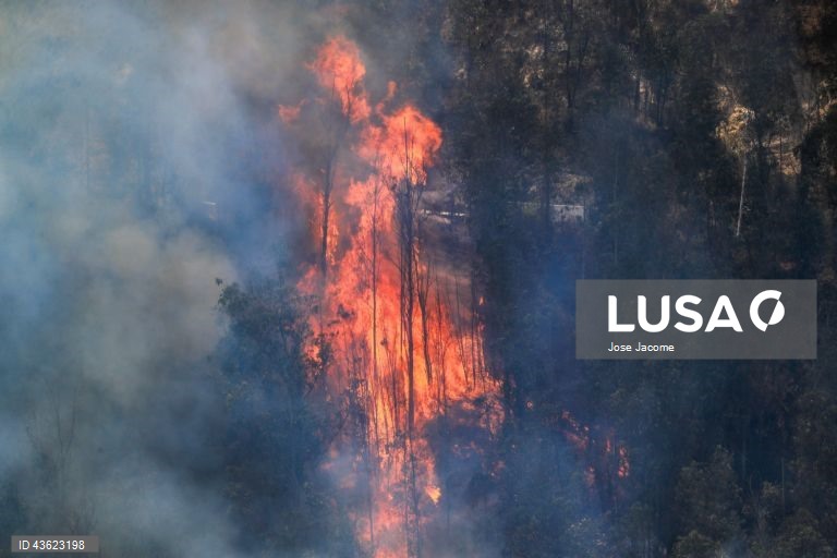 Equador: Vários incêndios florestais nas zonas circundantes de Quito