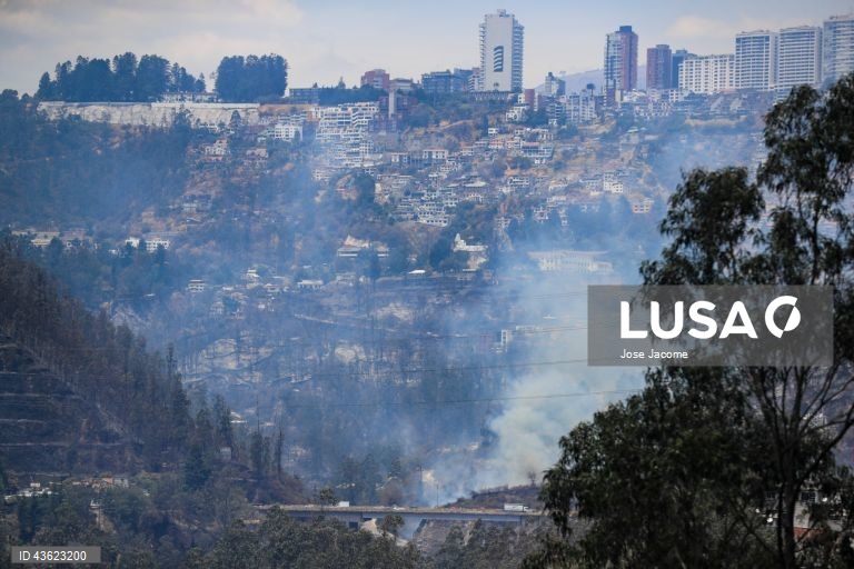 Equador: Vários incêndios florestais nas zonas circundantes de Quito