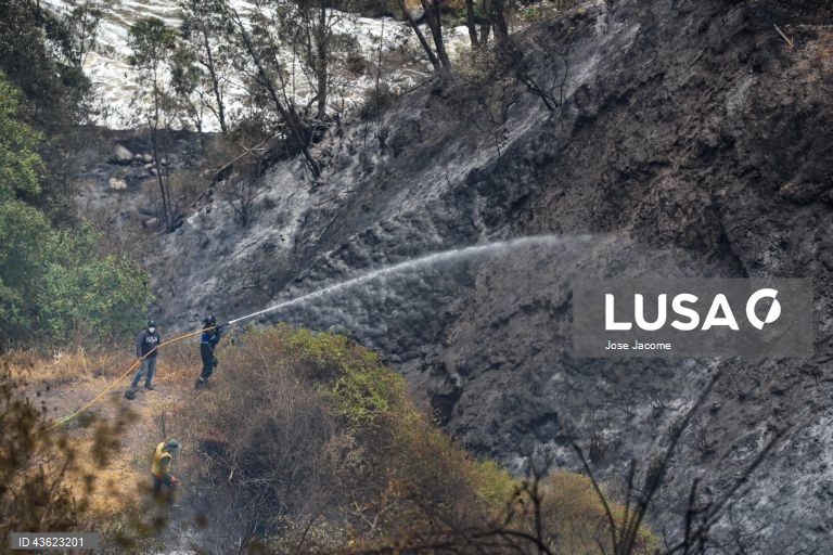 Equador: Vários incêndios florestais nas zonas circundantes de Quito
