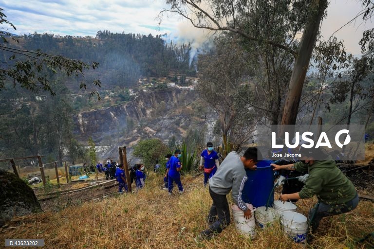 Equador: Vários incêndios florestais nas zonas circundantes de Quito