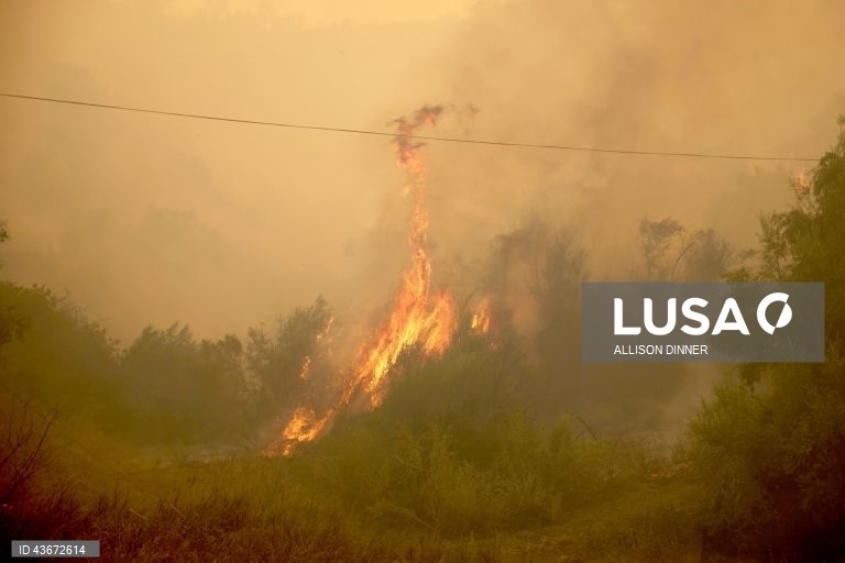 EUA: Incêndio florestal na Califórnia