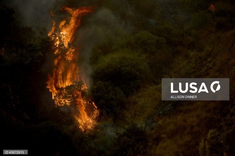 EUA: Incêndio florestal na Califórnia