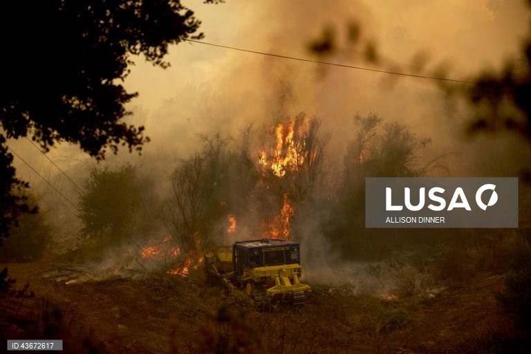 EUA: Incêndio florestal na Califórnia