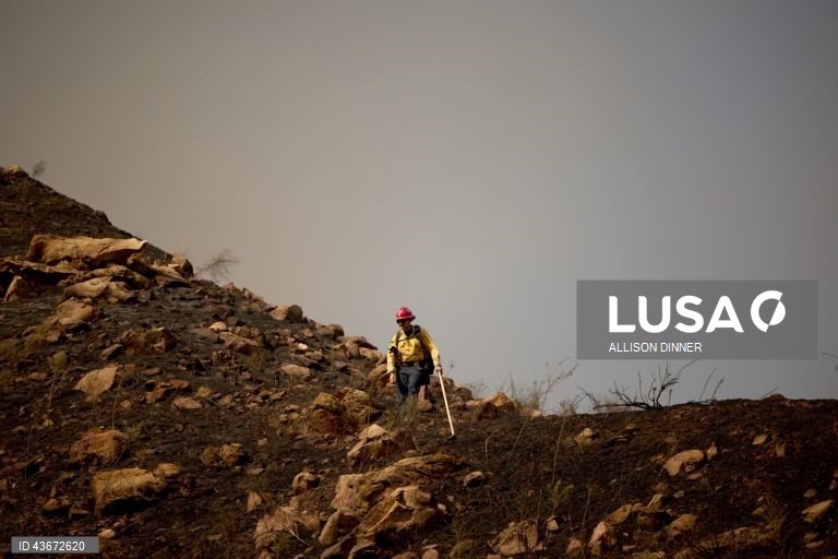 EUA: Incêndio florestal na Califórnia