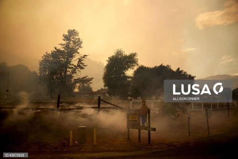 EUA: Incêndio florestal na Califórnia