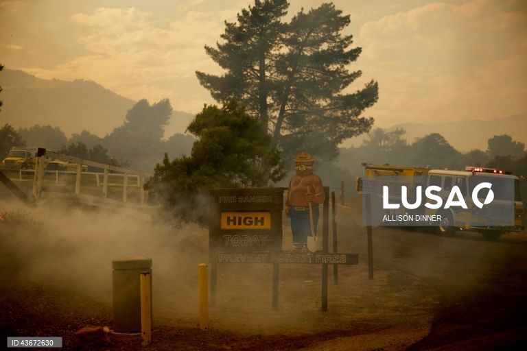 EUA: Incêndio florestal na Califórnia