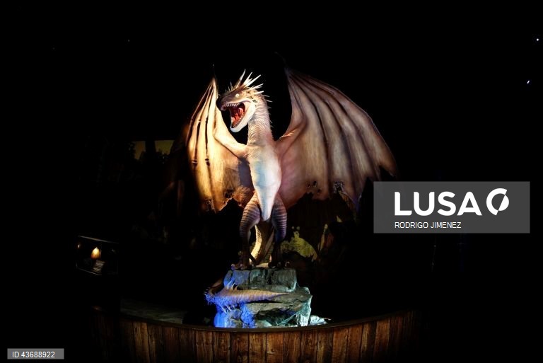 Madrid: Harry Potter: A Exposição”