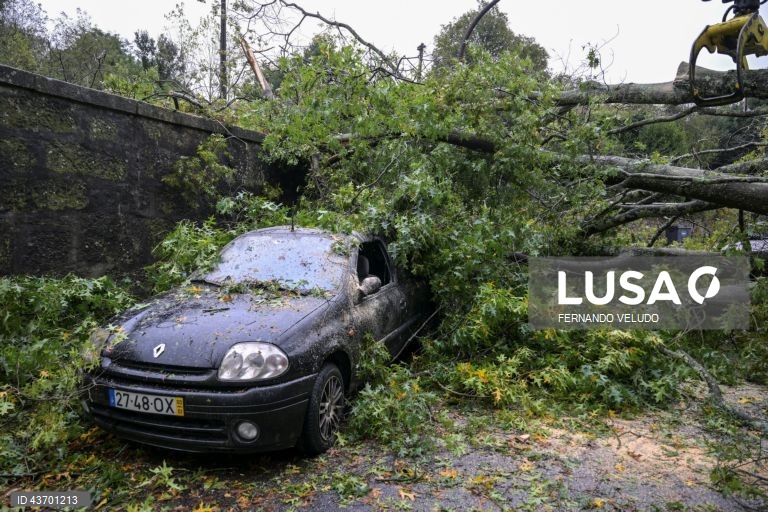 Uma árvore derrubada devido ao mau tempo provocou danos num veículo, no Porto, 09 de outubro de 2024. Devido ao mau tempo, a Autoridade Nacional de Emergência e Proteção Civil (ANEPC) registou entre as 18:00 de terça-feira e as 07:00 de hoje 567 ocorrências relacionadas com o vento forte, a grande maioria quedas de árvores. FERNANDO VELUDO/LUSA
