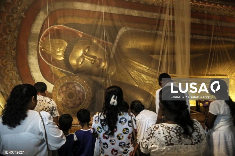 Sri Lanka: Fiéis budistas realizam rituais no dia de lua cheia em Colombo