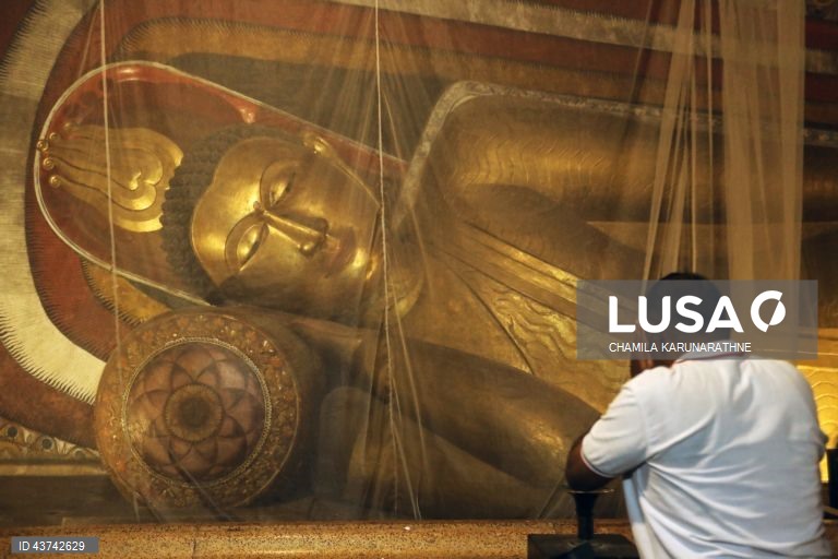 Sri Lanka: Fiéis budistas realizam rituais no dia de lua cheia em Colombo